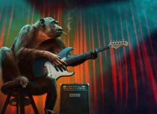 Jakie są etapy rozwiązywania problemu za pomocą algorytmów?