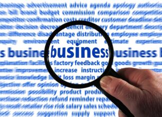 Jak zgłosić nieuczciwego pracodawcę w Holandii?