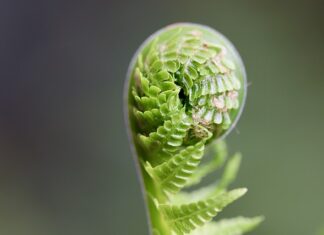 Jak rozwijać inteligencję u dziecka?