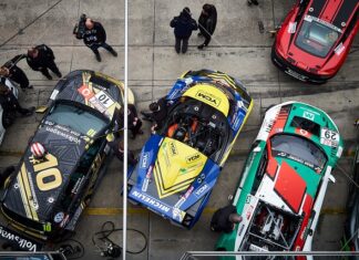 Ile z pitu na żonę?