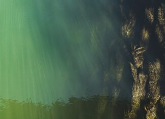 Co to jest przeciętny poziom inteligencji? Co to jest przeciętny poziom inteligencji?