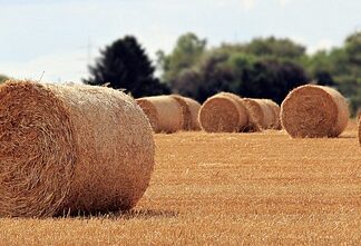 Jaka jest rola ojca w rodzinie?