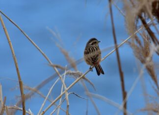 Jak szukać rozwiązań?