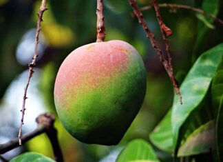W jakim wieku jest się dojrzałym emocjonalnie?