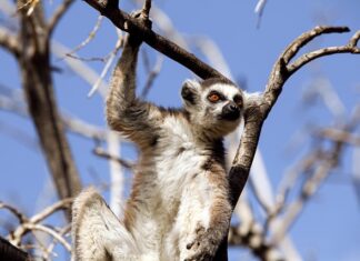 Co obejmuje zachowanie ryzyka?