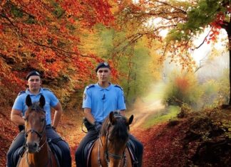Czy warto sobie żałować?