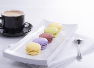 Jakie są cechy intelektu?