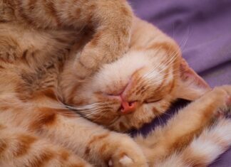 Jak nauczyć się podejmować decyzje?